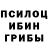 Галлюциногенные грибы Cubensis Brutale Bent