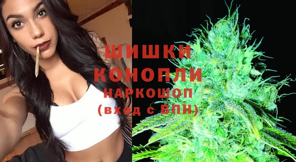 гашик Белоозёрский