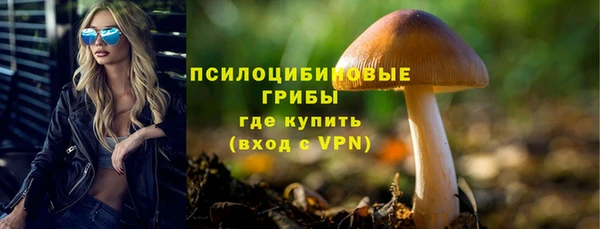 2c-b Белокуриха