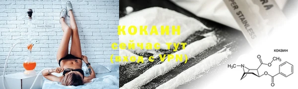 гашик Белоозёрский