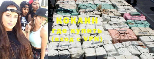 гашик Белоозёрский