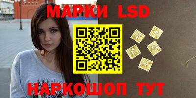 индика Вязники