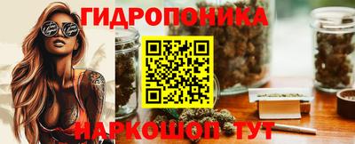 индика Вязники