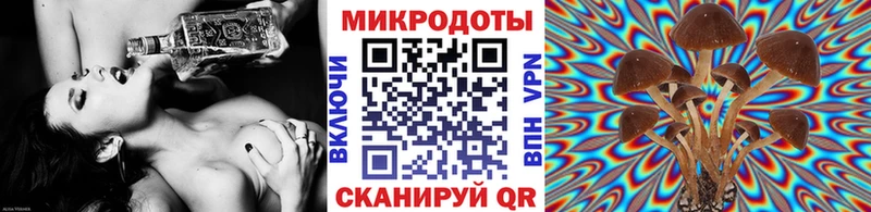 Псилоцибиновые грибы Cubensis  сколько стоит  Борисоглебск 