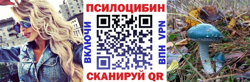 Псилоцибиновые грибы Psilocybe Борисоглебск