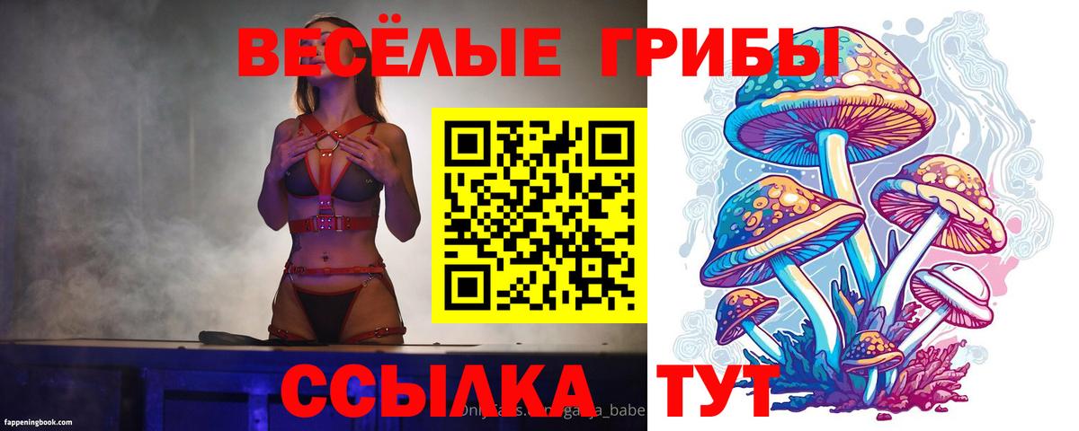 Галлюциногенные грибы Magic Shrooms Борисоглебск